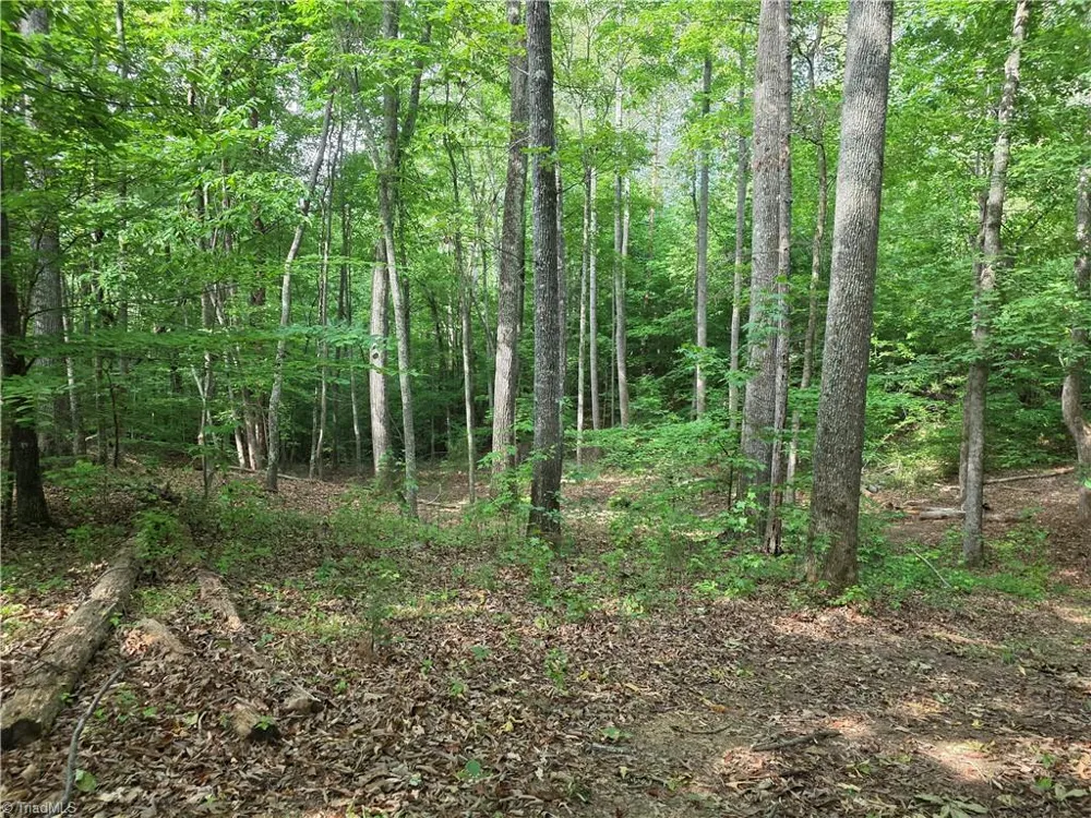 xx 31.85 +-ac Hampton Road Germanton, NC 27019
