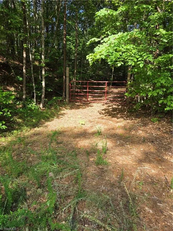 xx 31.85 +-ac Hampton Road Germanton, NC 27019