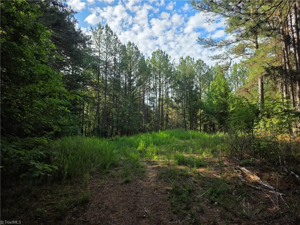 xx 31.85 +-ac Hampton Road Germanton, NC 27019