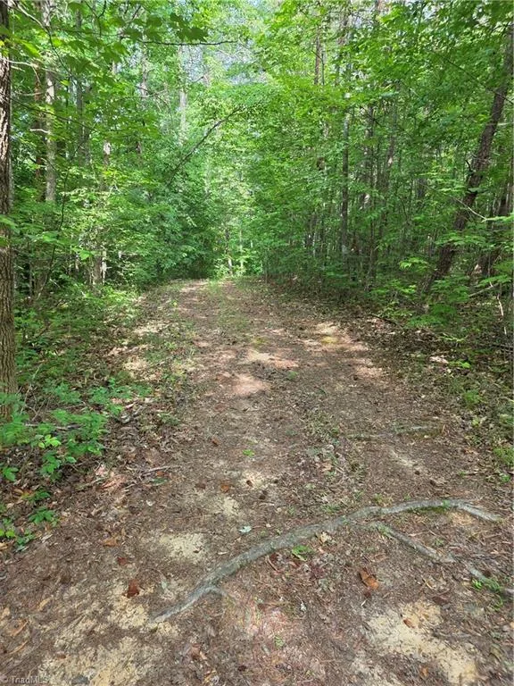 xx 31.85 +-ac Hampton Road Germanton, NC 27019