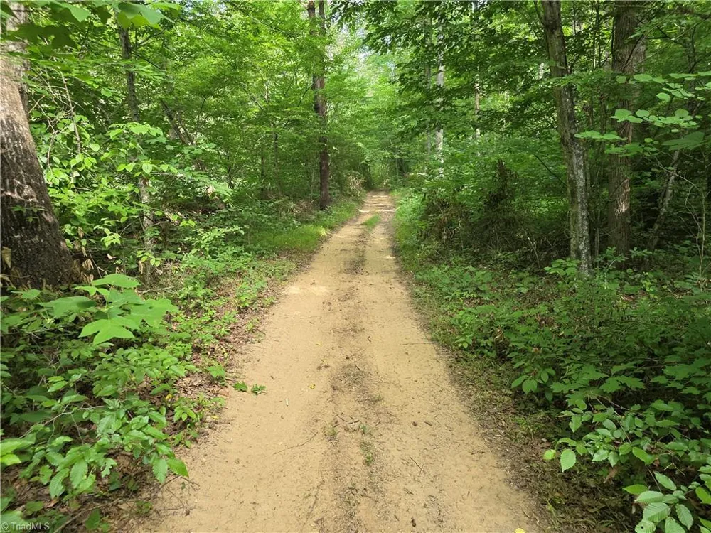 xx 31.85 +-ac Hampton Road Germanton, NC 27019