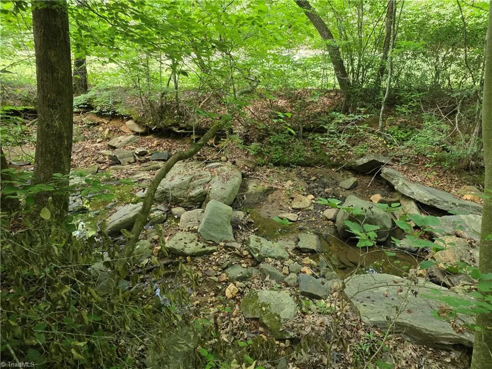 xx 31.85 +-ac Hampton Road Germanton, NC 27019