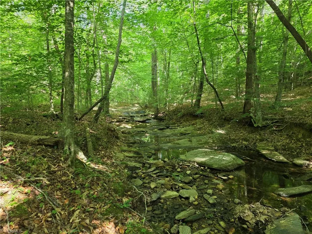 xx 31.85 +-ac Hampton Road Germanton, NC 27019