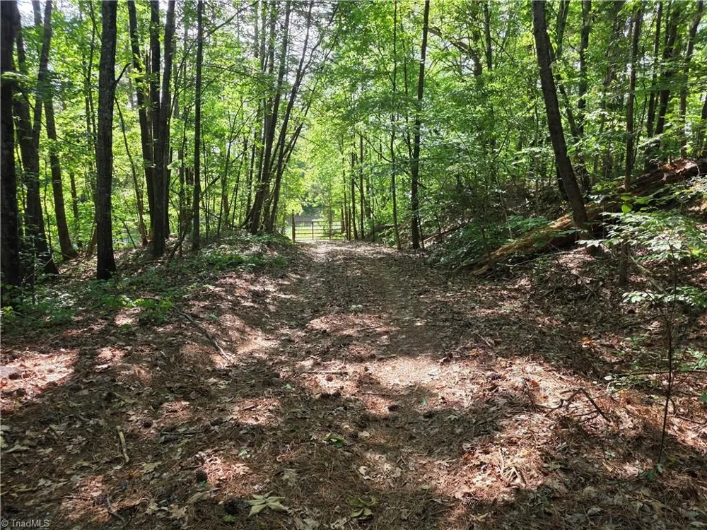 xx 31.85 +-ac Hampton Road Germanton, NC 27019