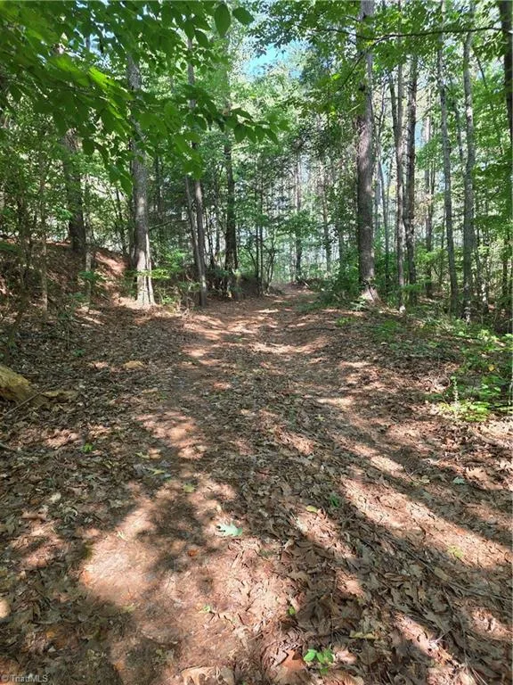 xx 31.85 +-ac Hampton Road Germanton, NC 27019