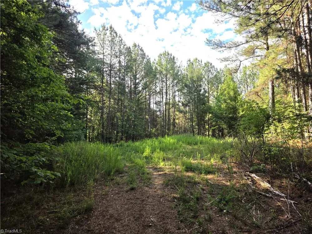 xx 31.85 +-ac Hampton Road Germanton, NC 27019