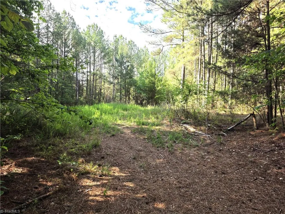 xx 31.85 +-ac Hampton Road Germanton, NC 27019