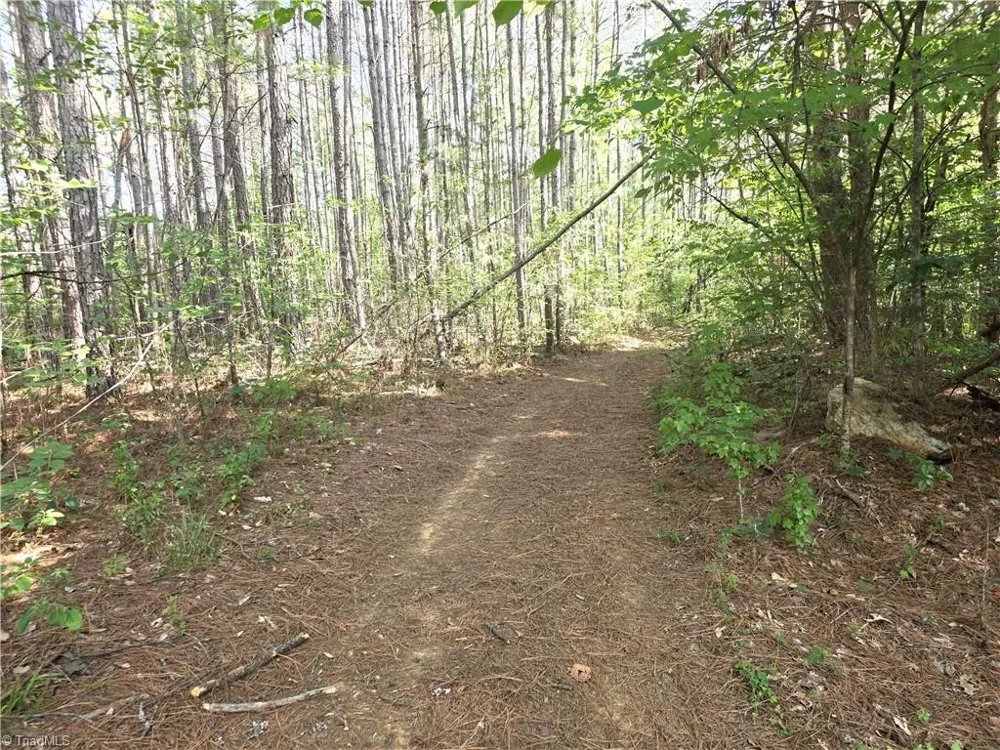 xx 31.85 +-ac Hampton Road Germanton, NC 27019