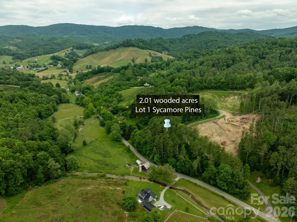 TBD Sycamore Road Vilas, NC 28692