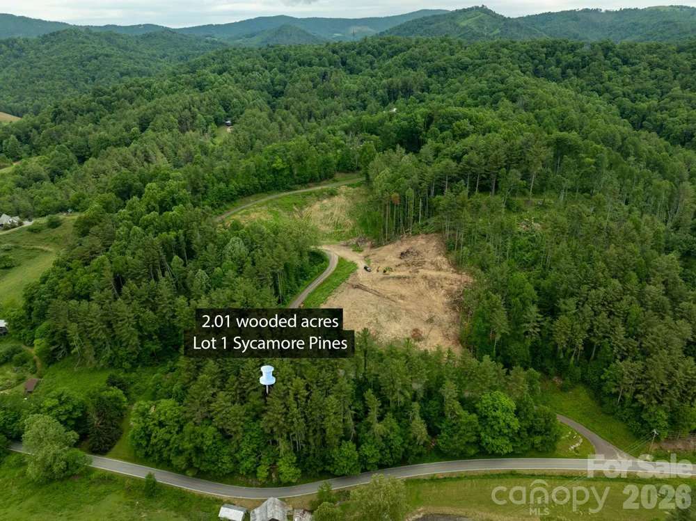 TBD Sycamore Road Vilas, NC 28692