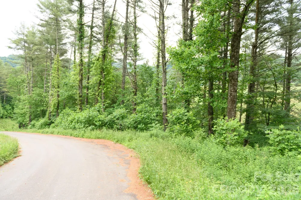 TBD Sycamore Road Vilas, NC 28692