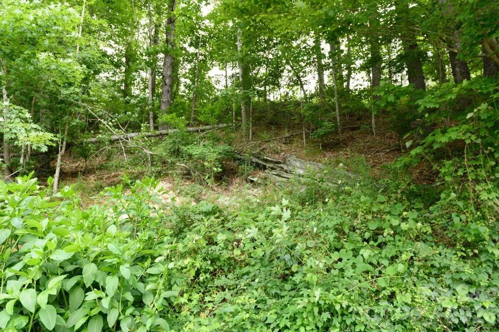 TBD Sycamore Road Vilas, NC 28692