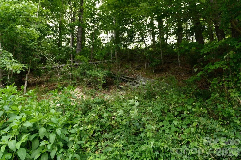 TBD Sycamore Road Vilas, NC 28692