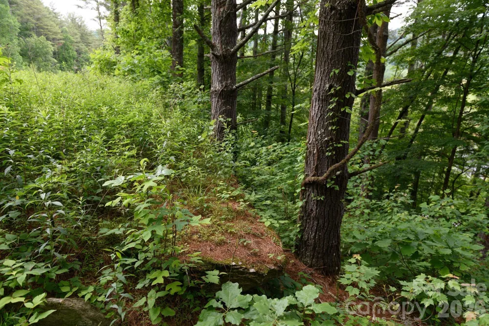 TBD Sycamore Road Vilas, NC 28692
