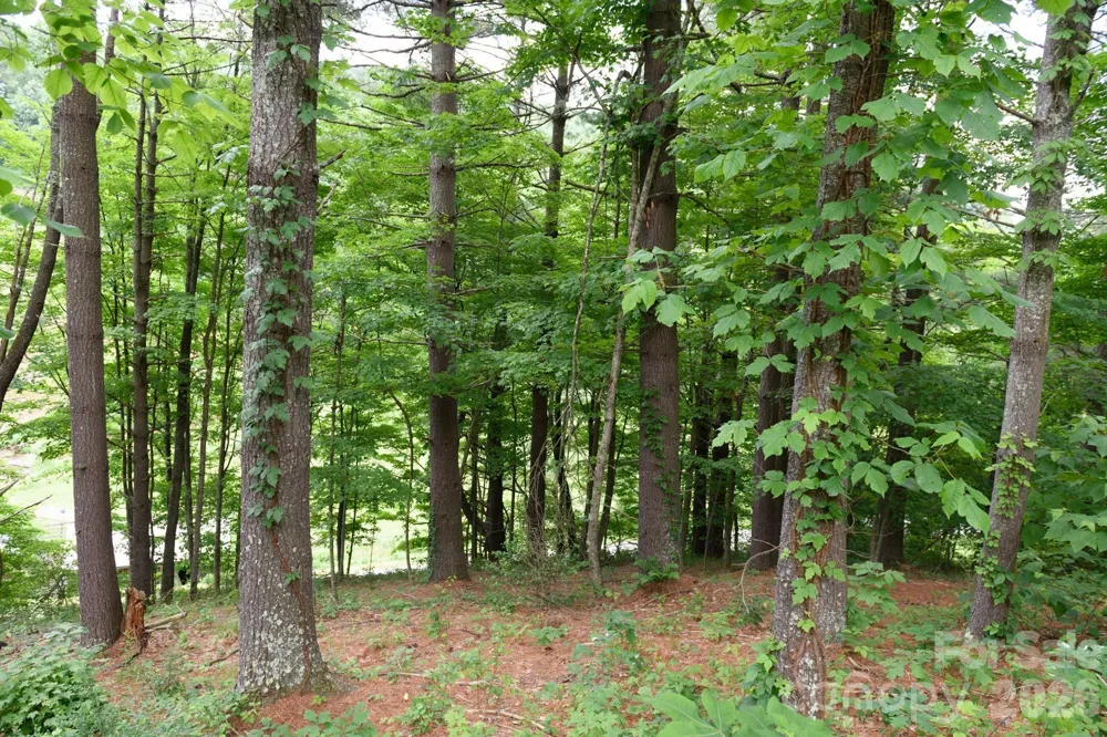TBD Sycamore Road Vilas, NC 28692