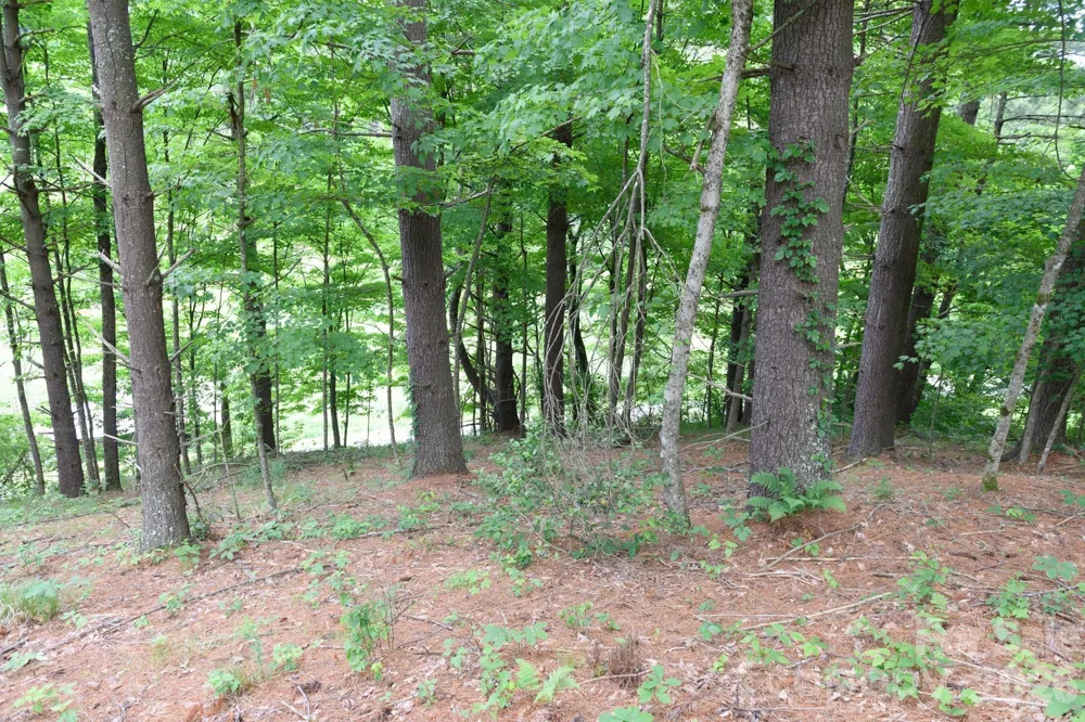 TBD Sycamore Road Vilas, NC 28692