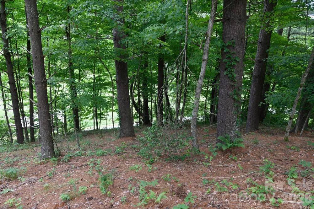TBD Sycamore Road Vilas, NC 28692