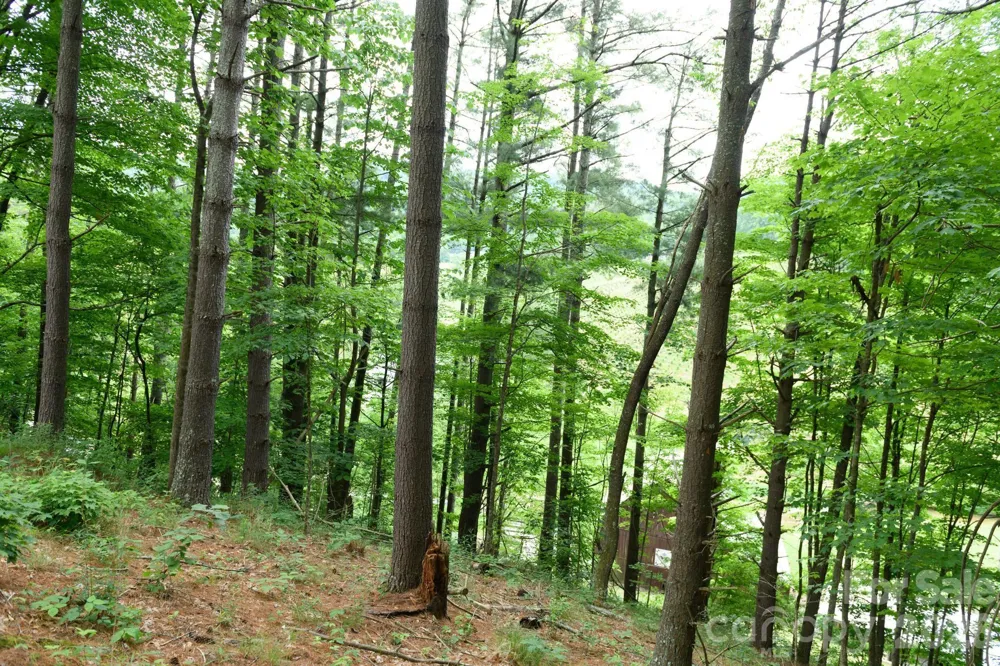 TBD Sycamore Road Vilas, NC 28692