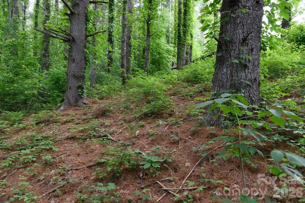 TBD Sycamore Road Vilas, NC 28692