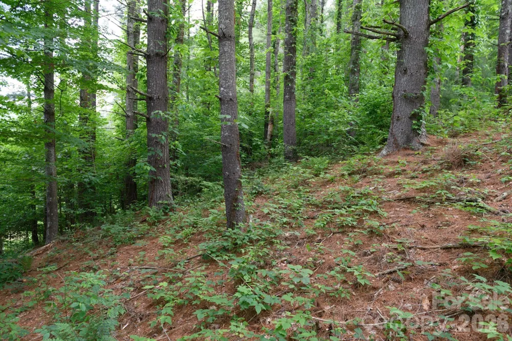 TBD Sycamore Road Vilas, NC 28692