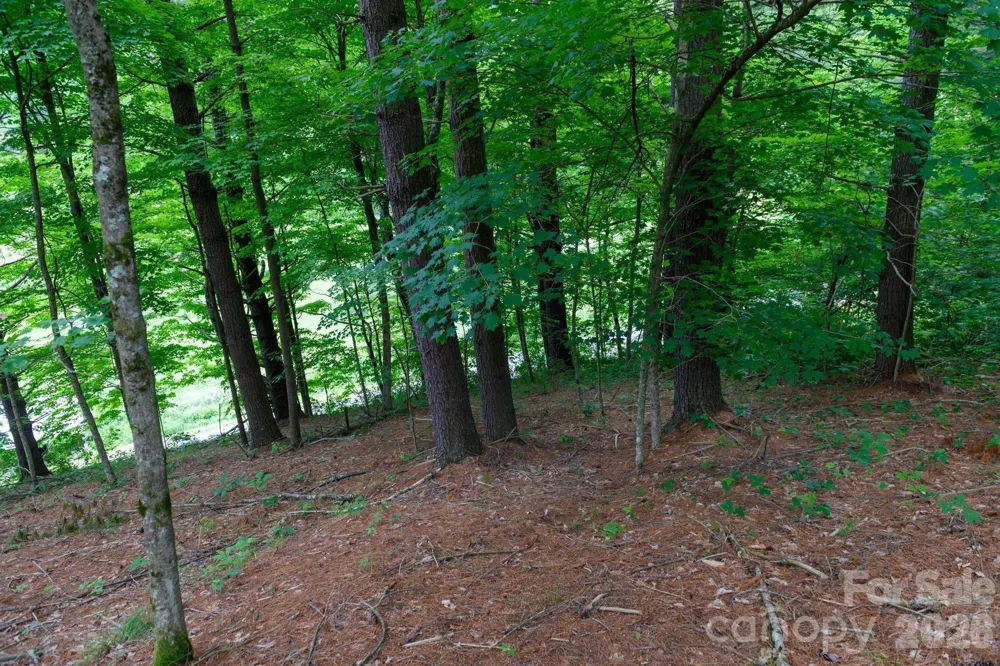 TBD Sycamore Road Vilas, NC 28692