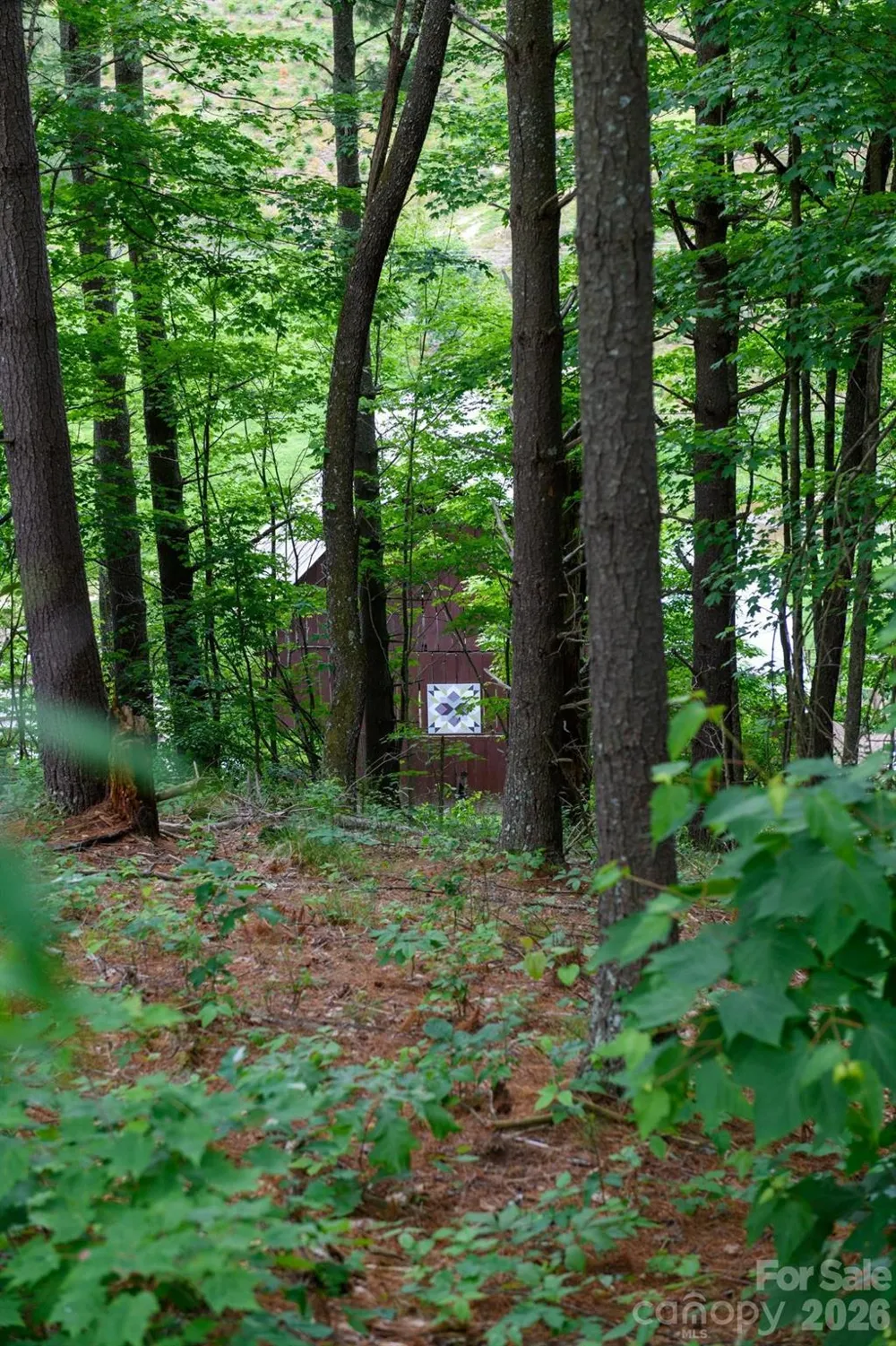 TBD Sycamore Road Vilas, NC 28692