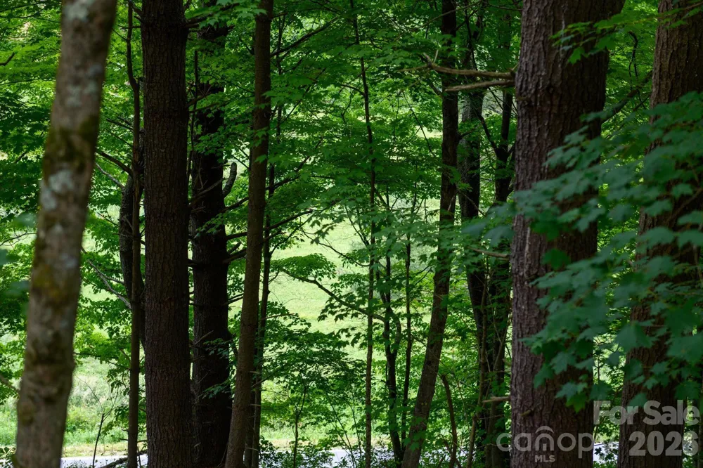 TBD Sycamore Road Vilas, NC 28692