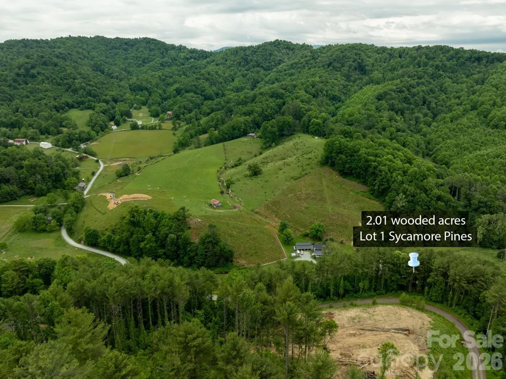 TBD Sycamore Road Vilas, NC 28692