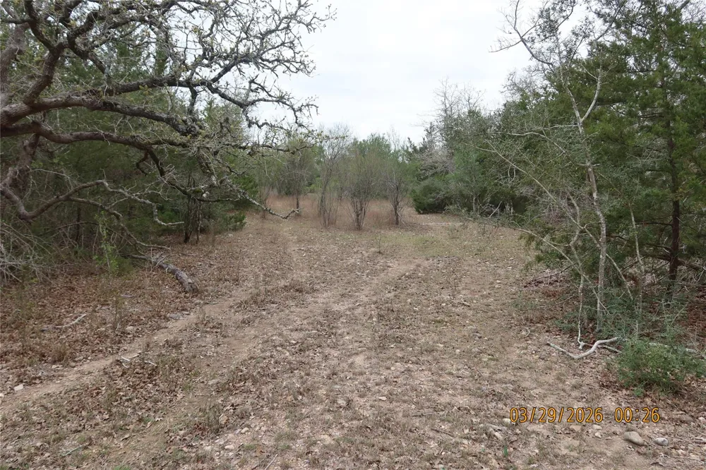 1028 Gun Rose Lane Columbus, TX 78934