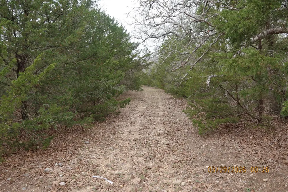 1028 Gun Rose Lane Columbus, TX 78934