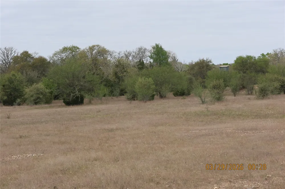 1028 Gun Rose Lane Columbus, TX 78934