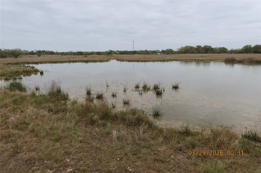 1028 Gun Rose Lane Columbus, TX 78934