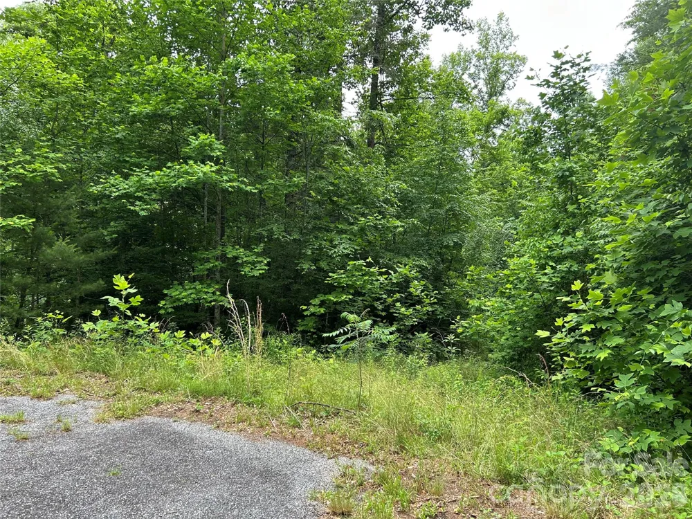 0 Silverstone Drive #16 & 17 Hendersonville, NC 28792