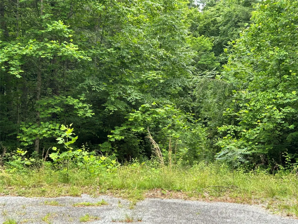 0 Silverstone Drive #16 & 17 Hendersonville, NC 28792