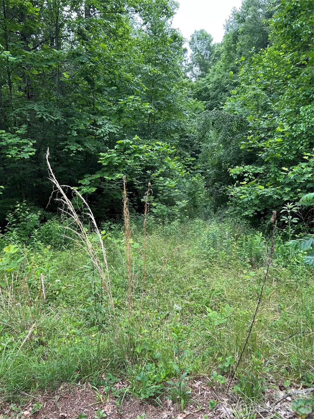 0 Silverstone Drive #16 & 17 Hendersonville, NC 28792