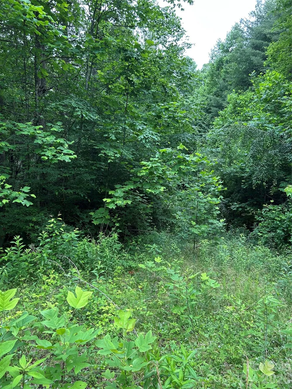 0 Silverstone Drive #16 & 17 Hendersonville, NC 28792