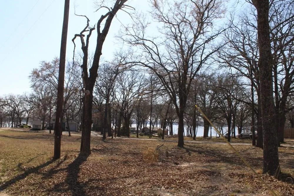 8085 Lakeview Drive Quinlan, TX 75474