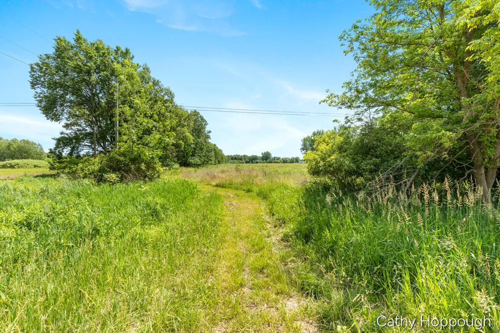 E Portland Road Portland, MI 48875