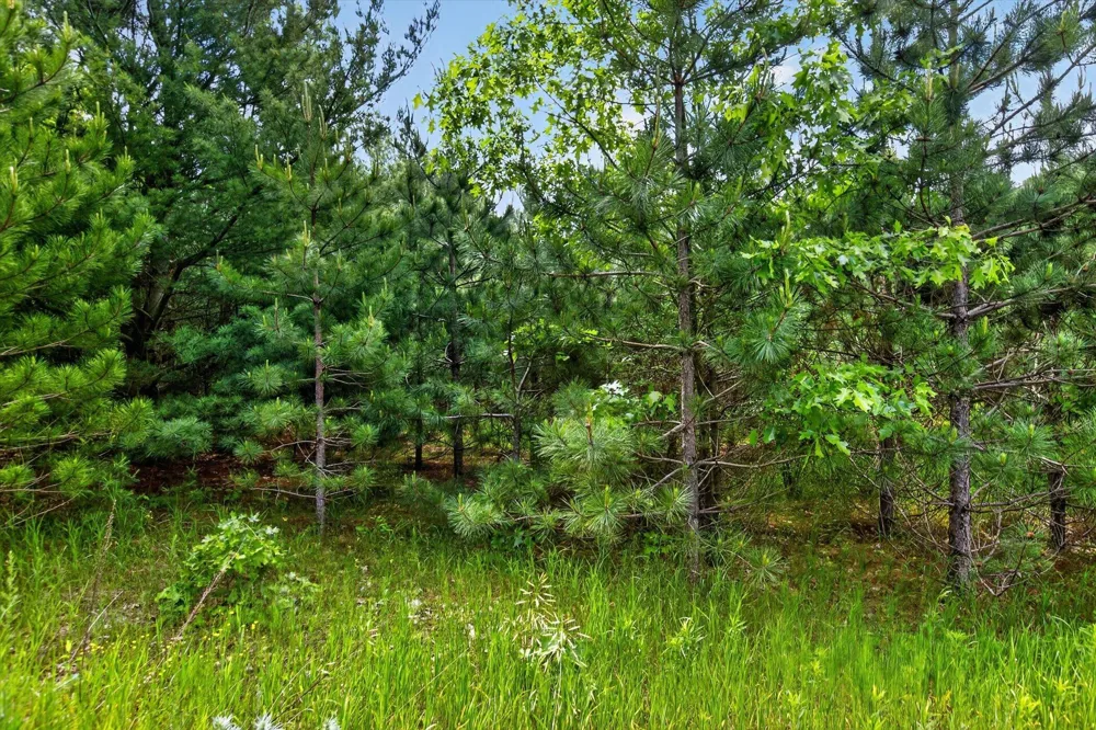 S Deer Lake Road Reed City, MI 49677