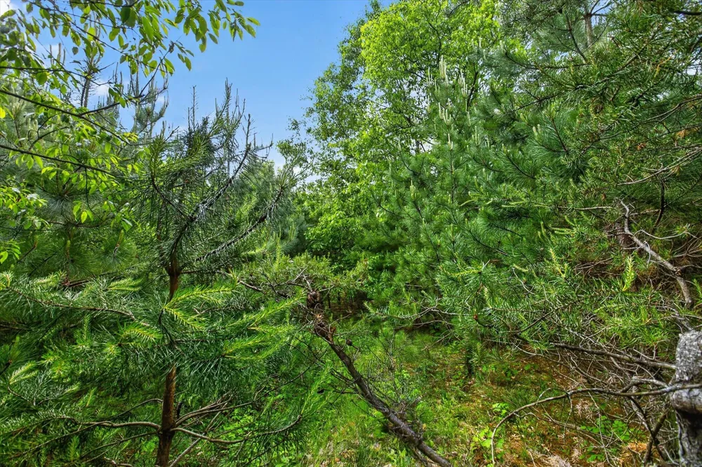 S Deer Lake Road Reed City, MI 49677