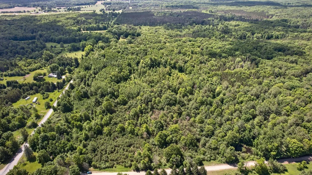 S Deer Lake Road Reed City, MI 49677