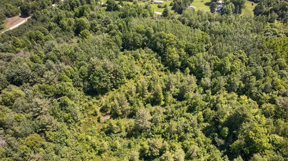 S Deer Lake Road Reed City, MI 49677