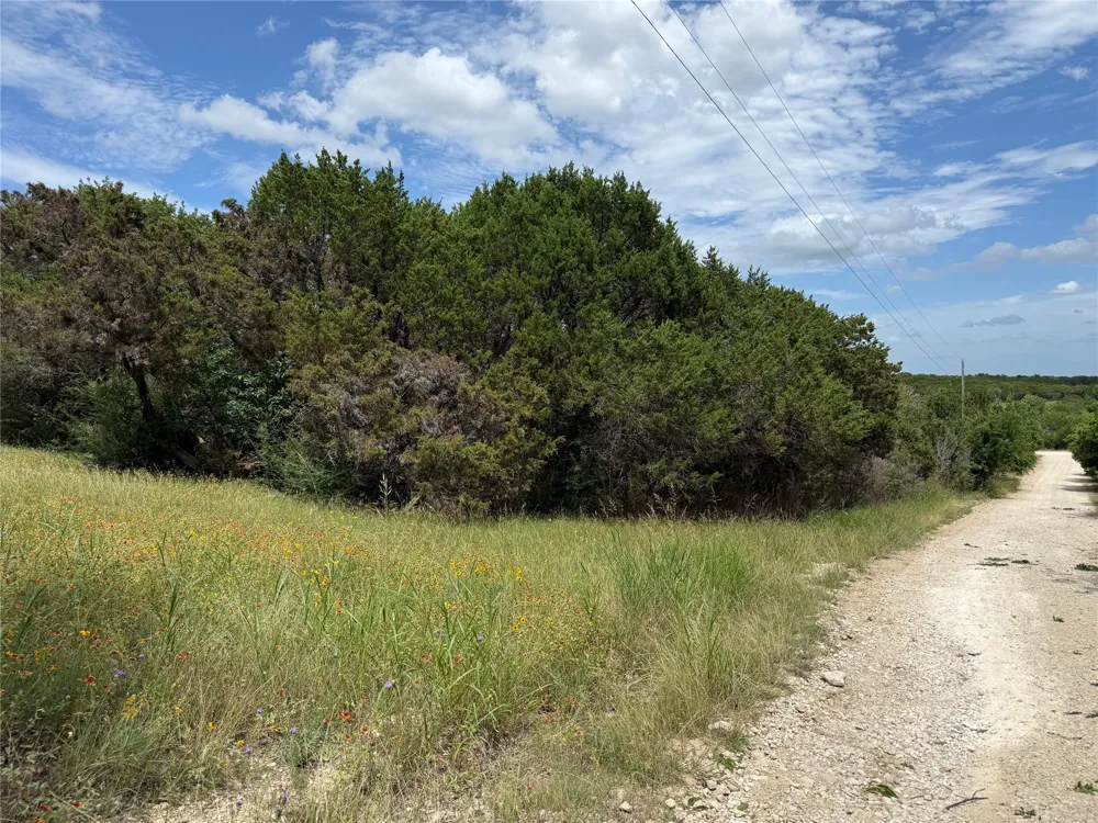 1451 Lakeview Court Cleburne, TX 76033