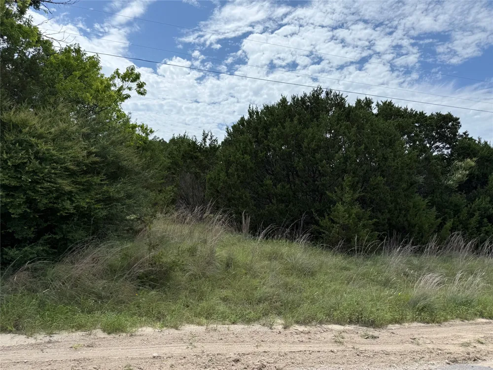 1451 Lakeview Court Cleburne, TX 76033