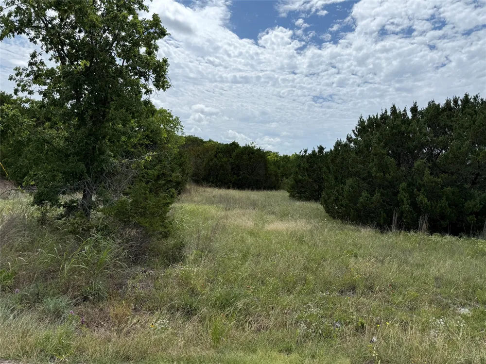 1451 Lakeview Court Cleburne, TX 76033