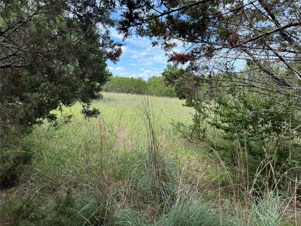 1451 Lakeview Court Cleburne, TX 76033
