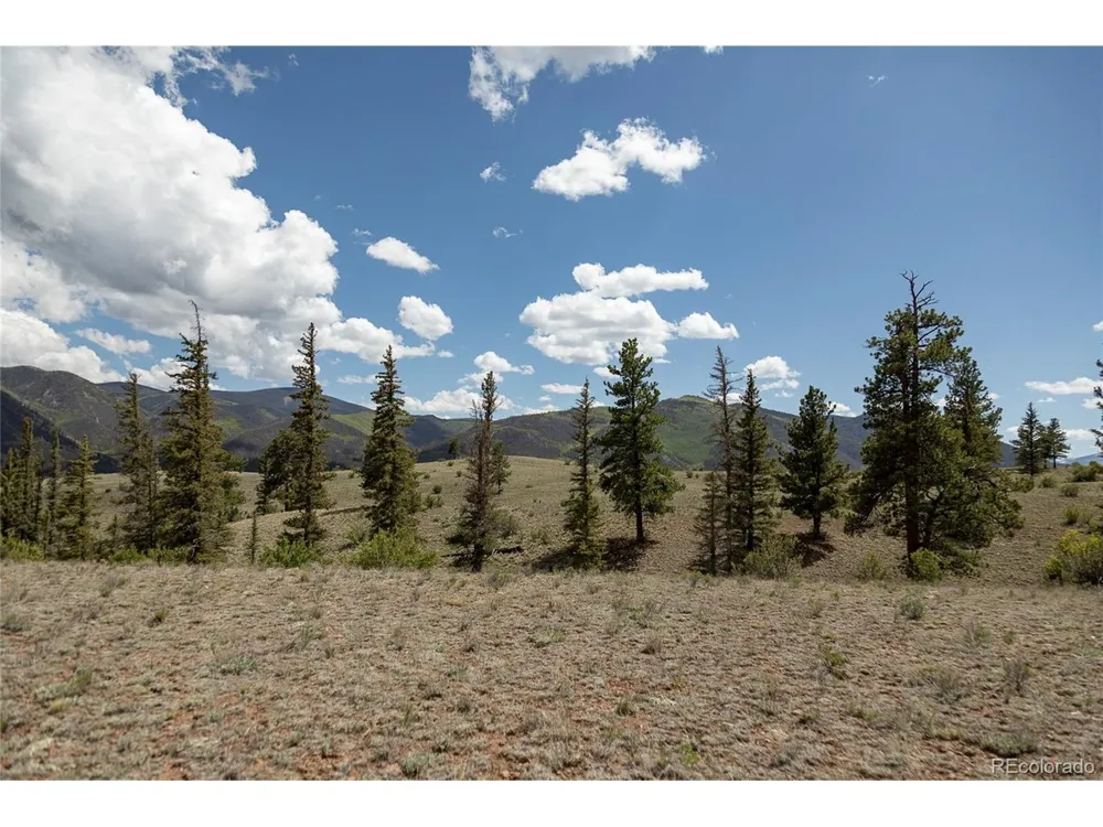 TBD Hwy 149 (B) Creede, CO 81130