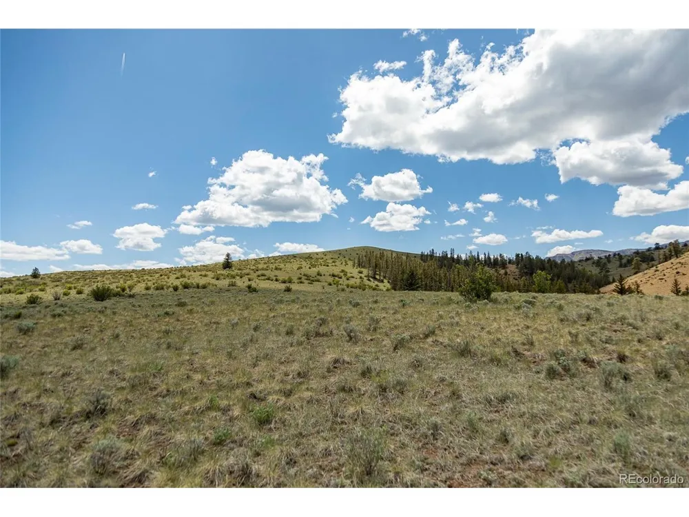 TBD Hwy 149 (B) Creede, CO 81130