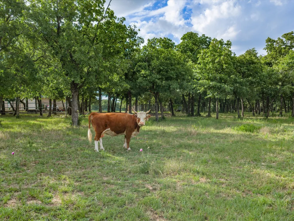 210 County Road 2696 Alvord, TX 76225
