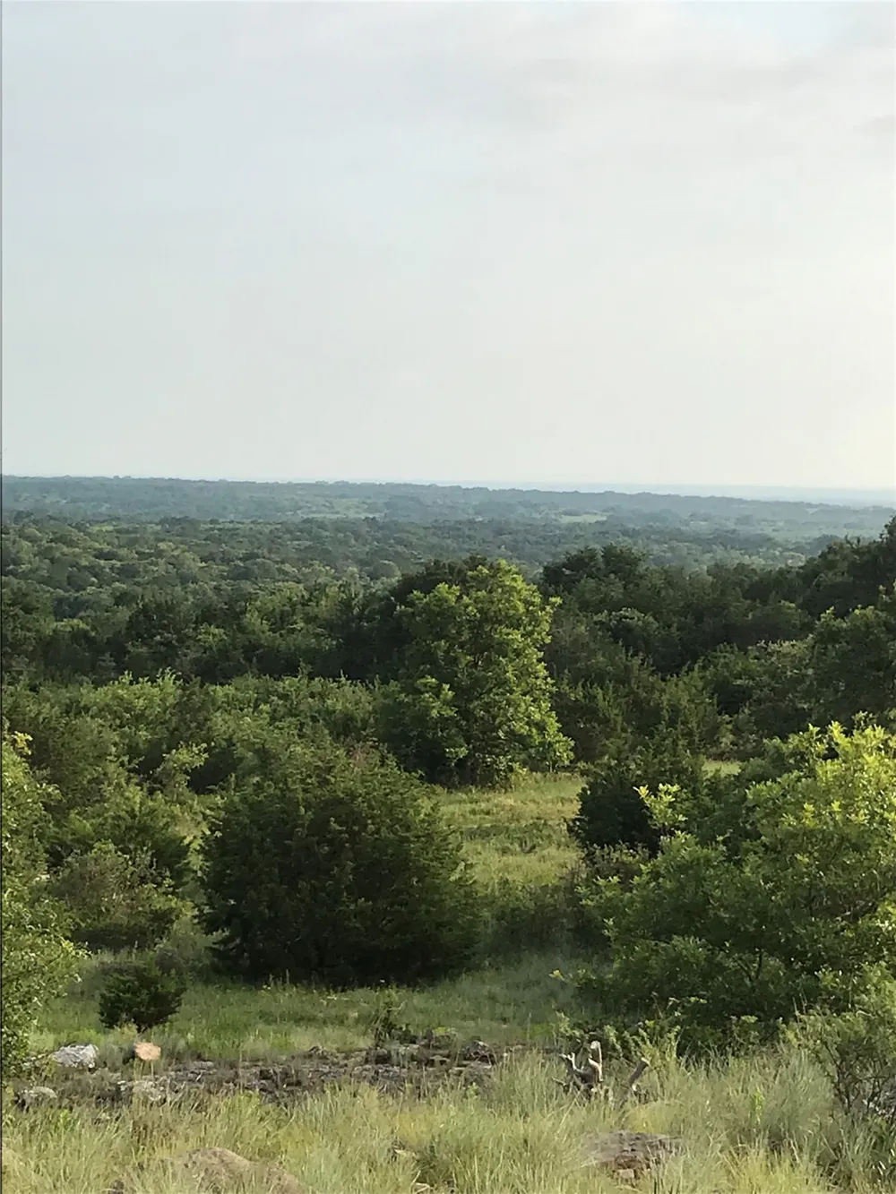 Pecan Shell Road Desdemona, TX 76445